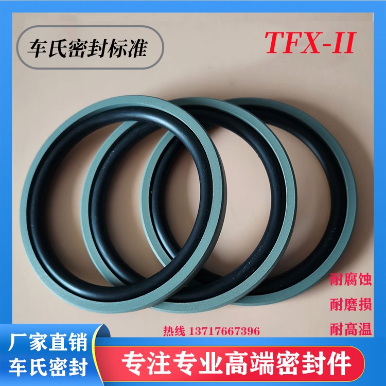 车氏孔用TF-II -(格莱圈）